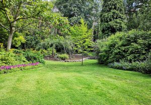 Optimiser l'expérience du jardin à Montpont-en-Bresse